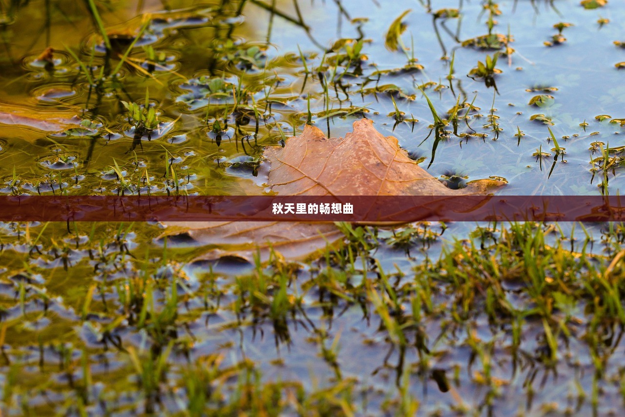 秋天里的畅想曲