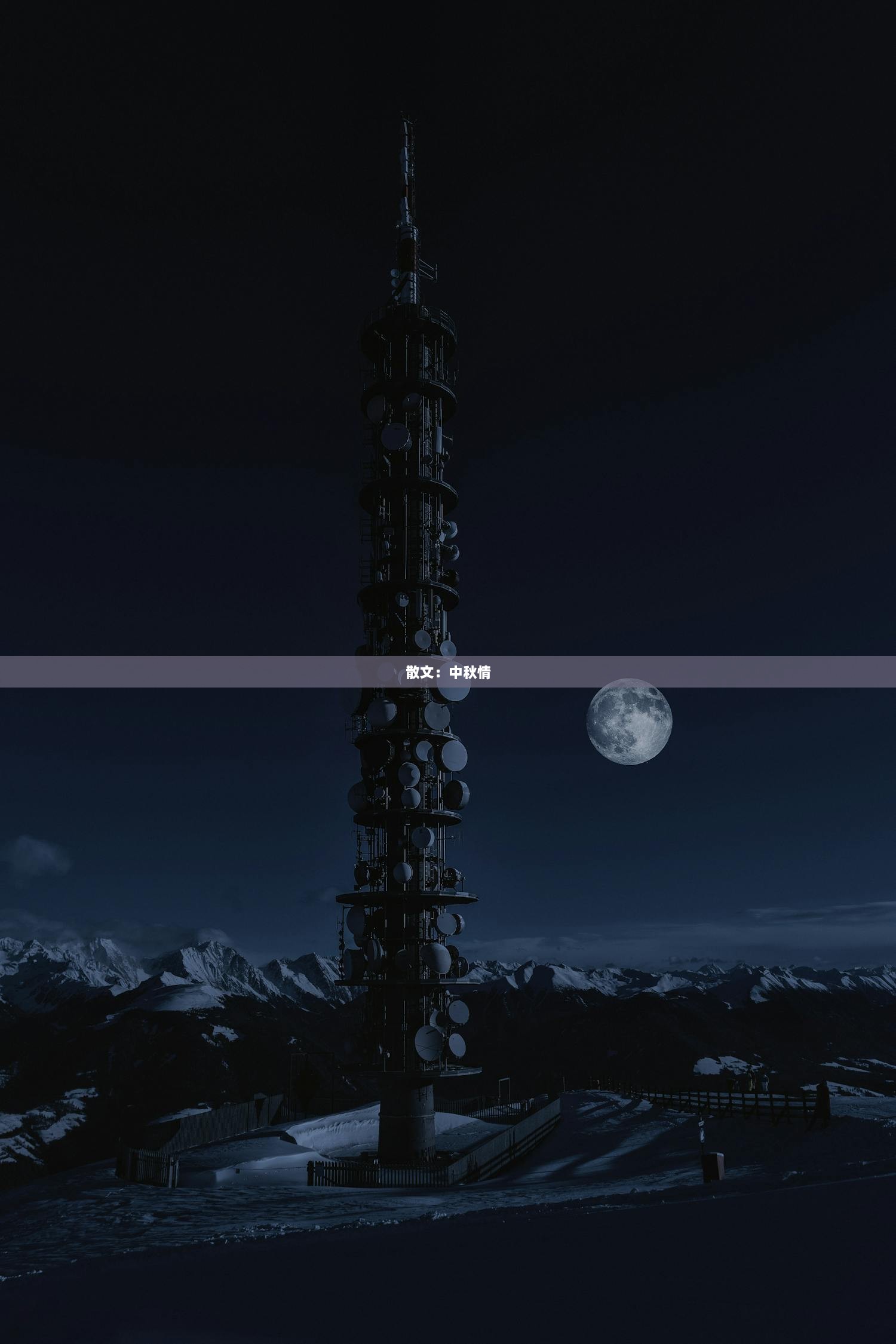 散文：中秋情