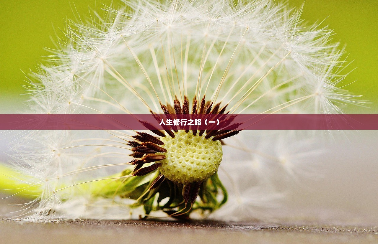 人生修行之路（一）