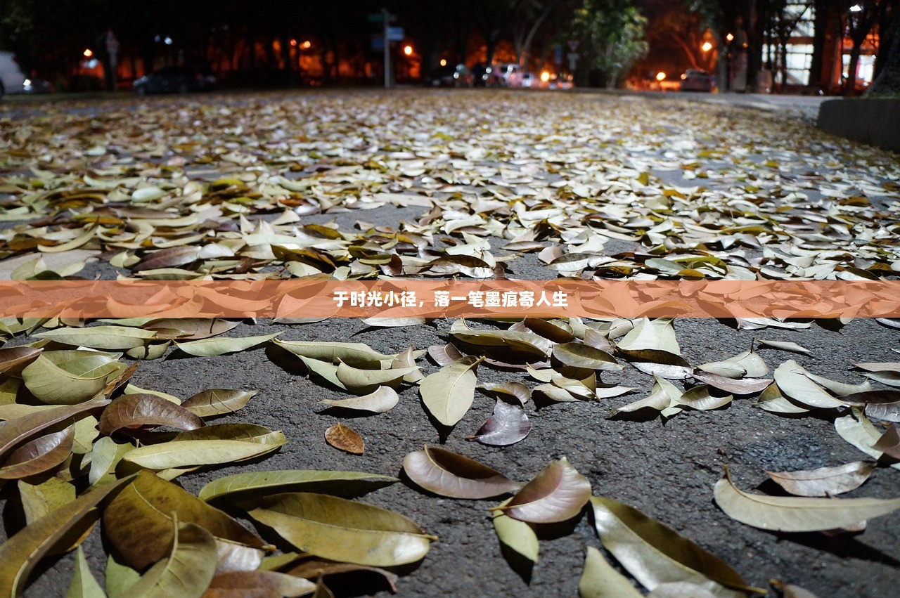 于时光小径，落一笔墨痕寄人生