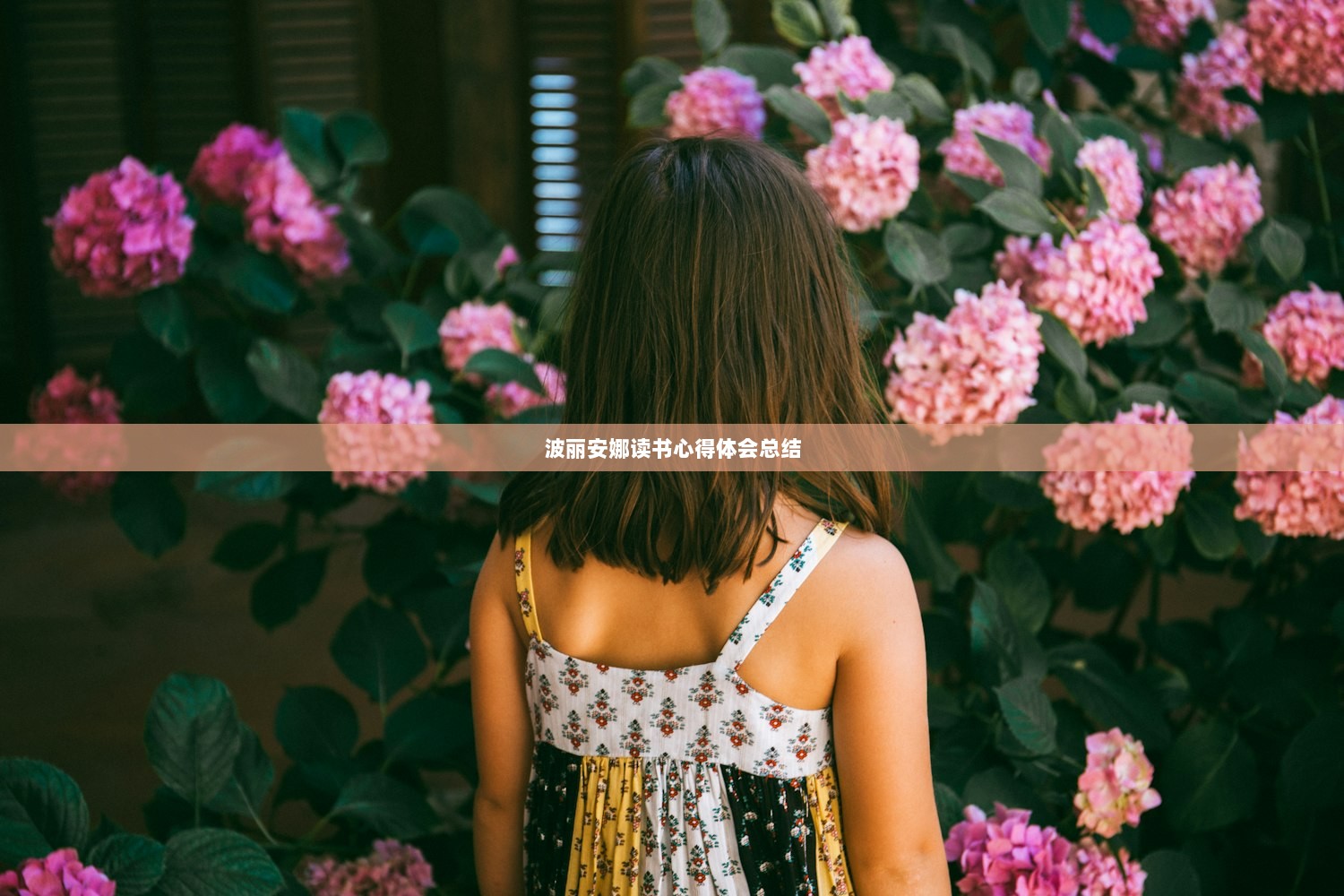 波丽安娜读书心得体会总结