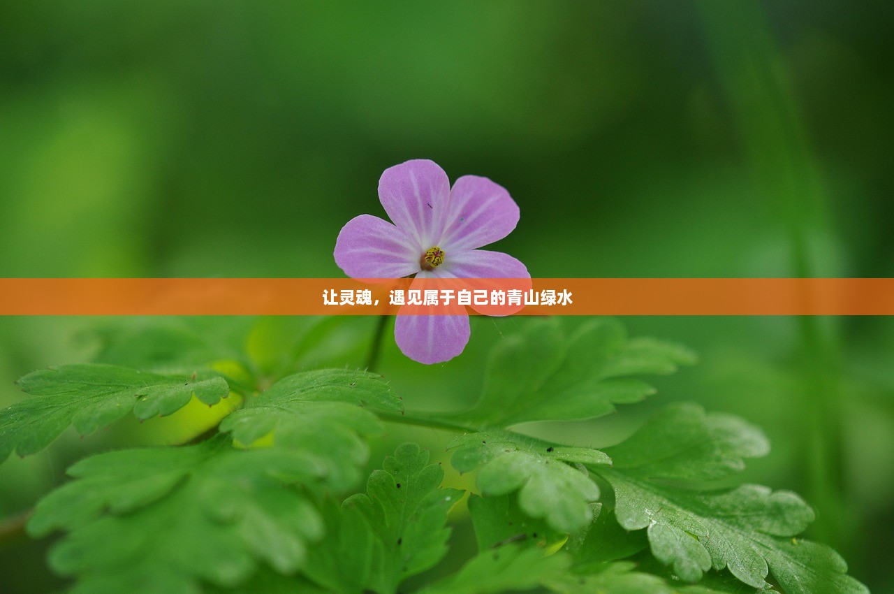 让灵魂，遇见属于自己的青山绿水  第1张