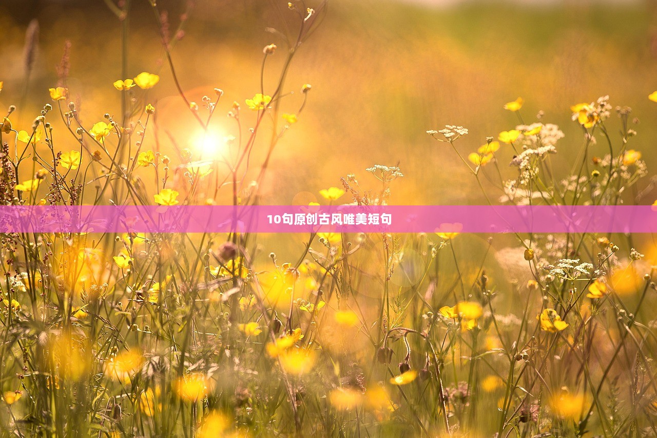 10句原创古风唯美短句