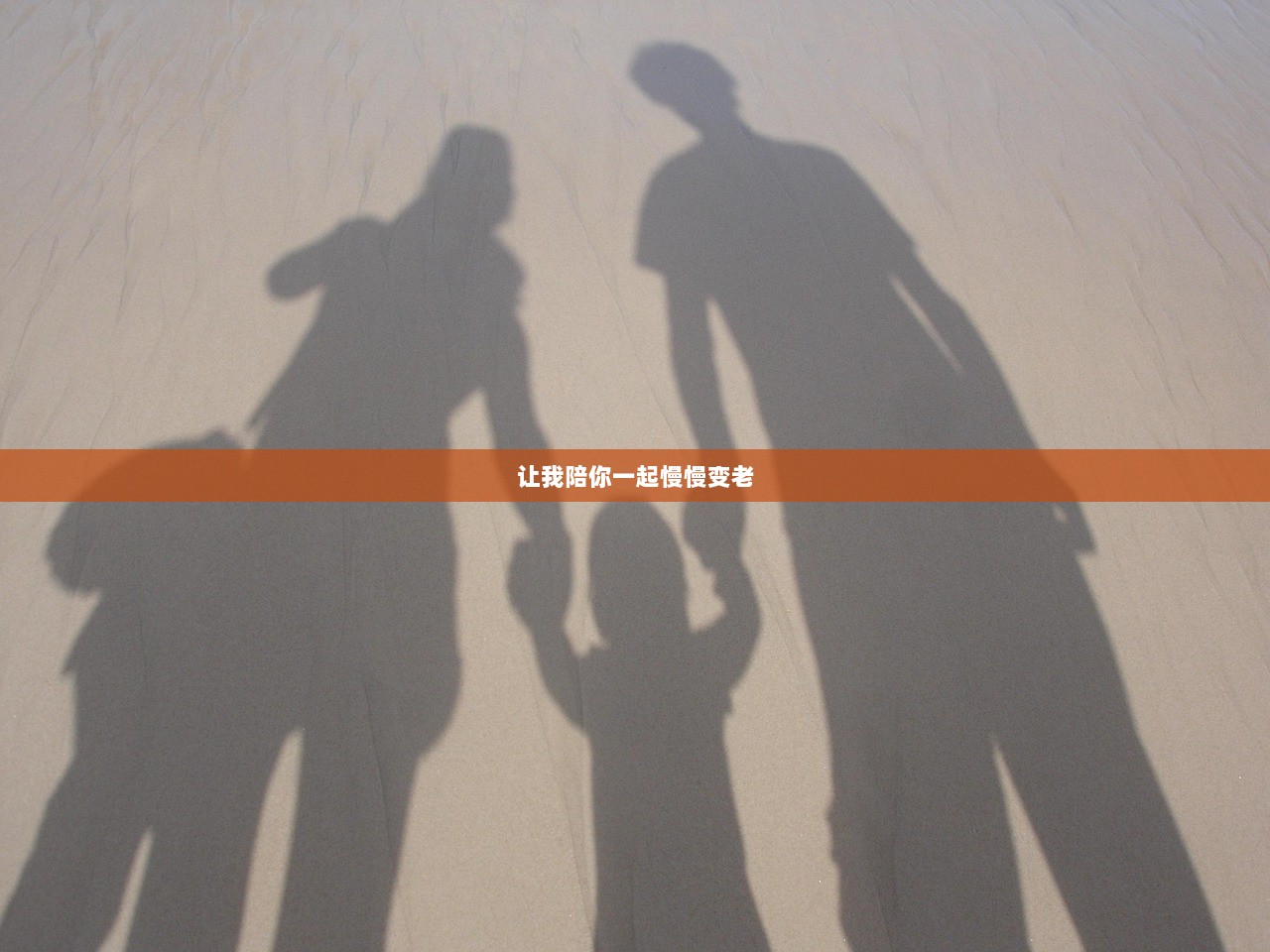 让我陪你一起慢慢变老