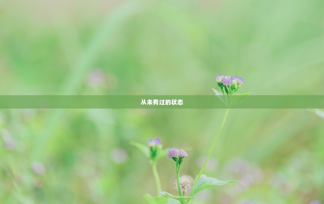 从未有过的状态