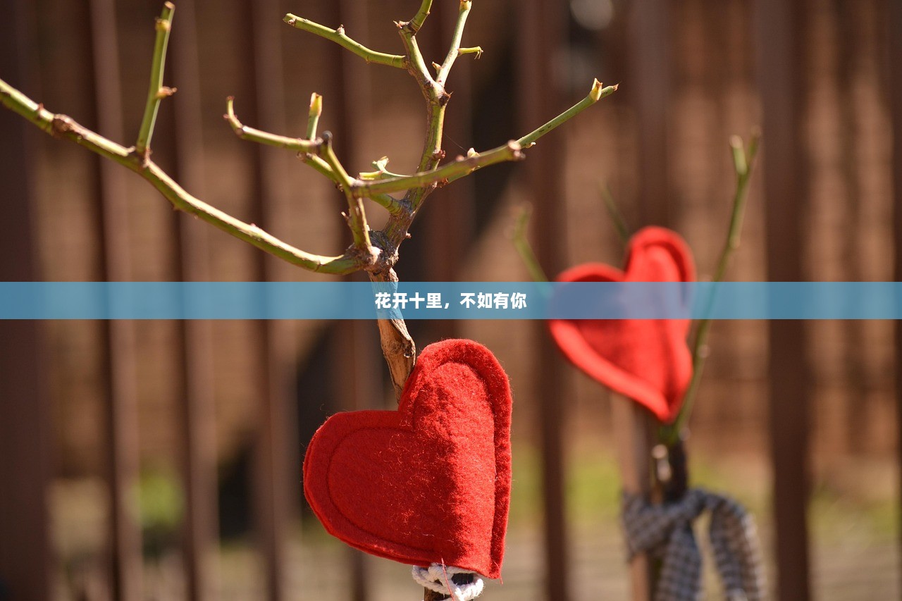 花开十里，不如有你