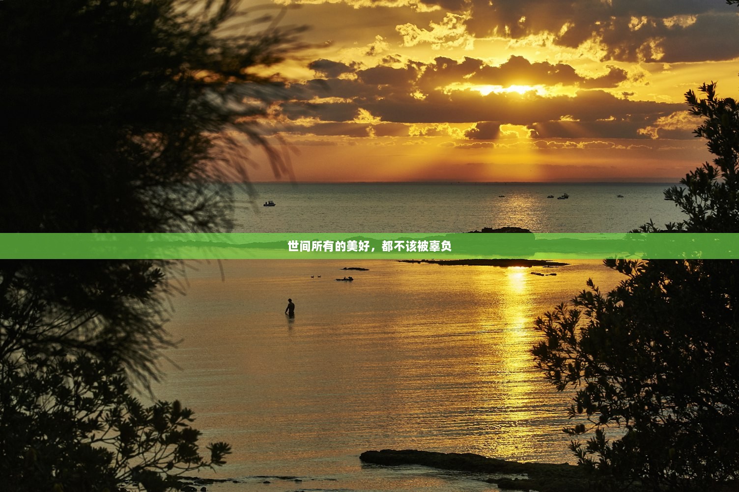 世间所有的美好,都不该被辜负 第1张 世间所有的美好,都不该被辜负 第1张