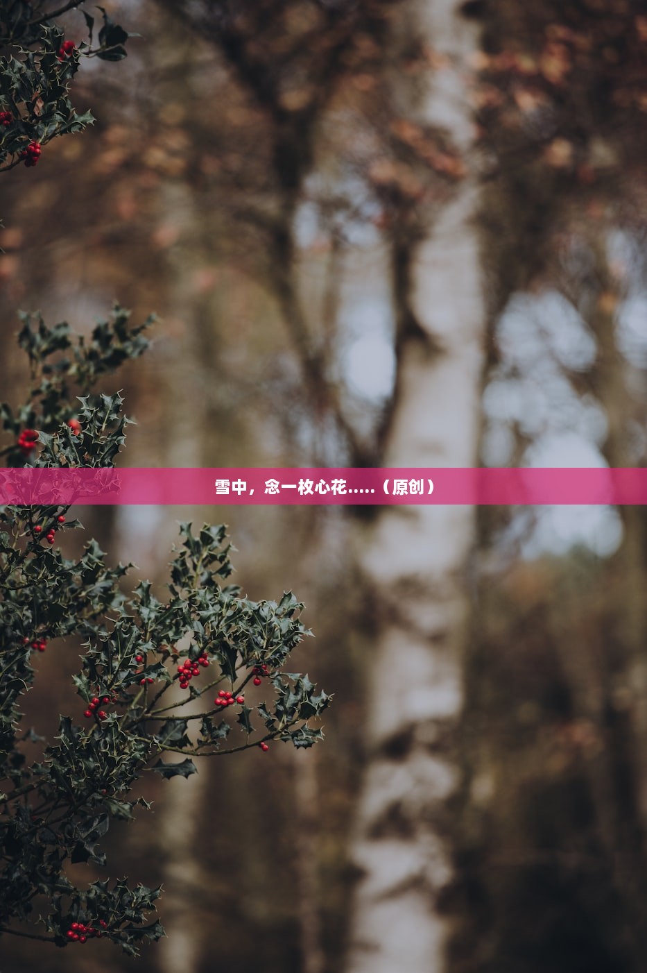 雪中，念一枚心花.....（原创）