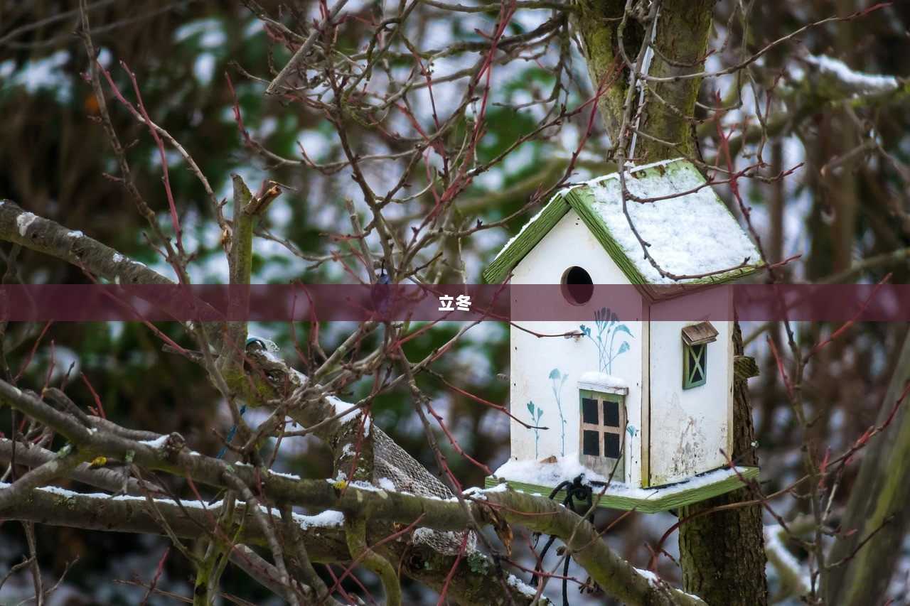 立冬 第1张 立冬 第1张