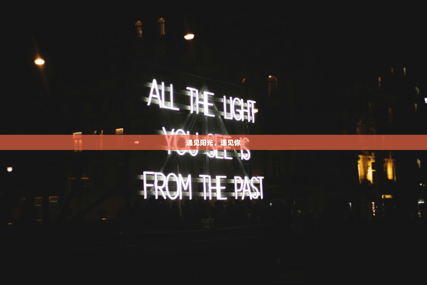 遇见阳光，遇见你