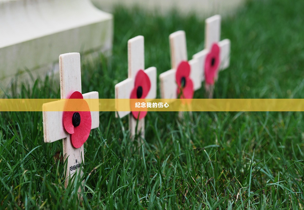 纪念我的伤心
