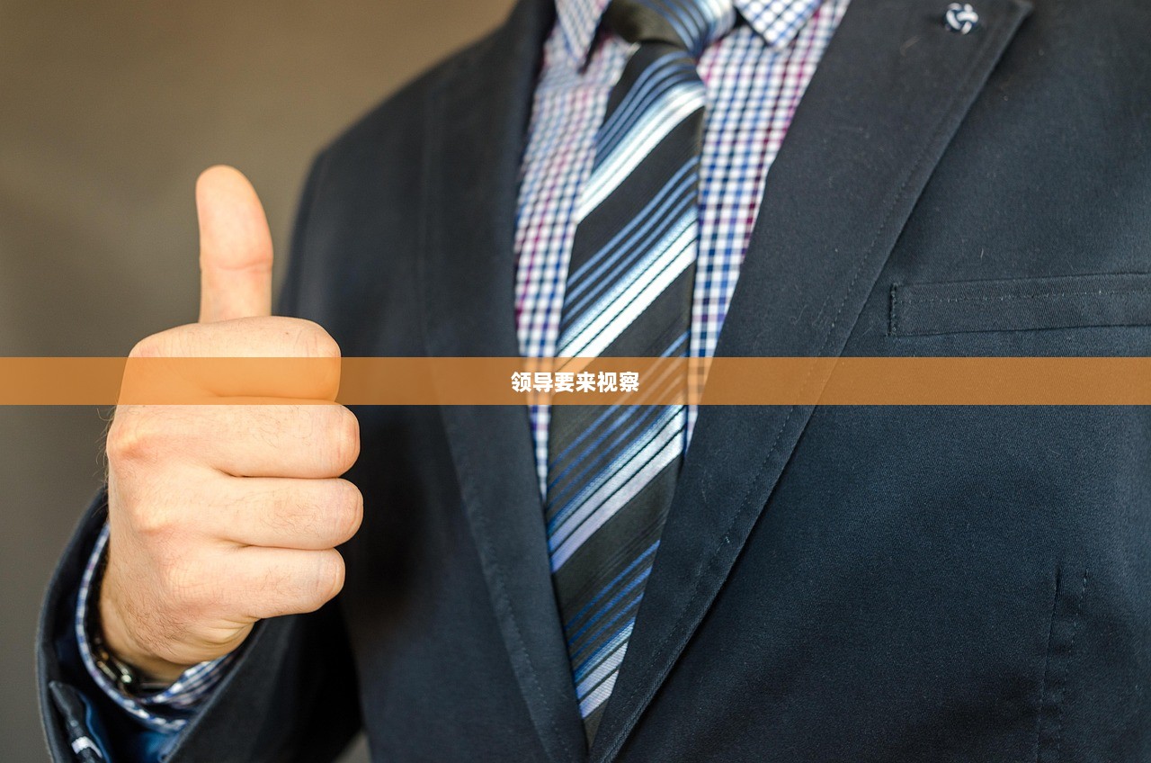 领导要来视察