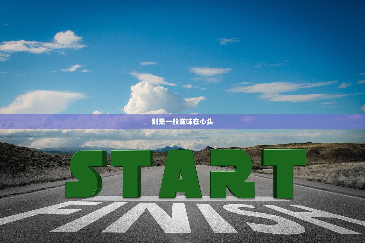 别是一般滋味在心头