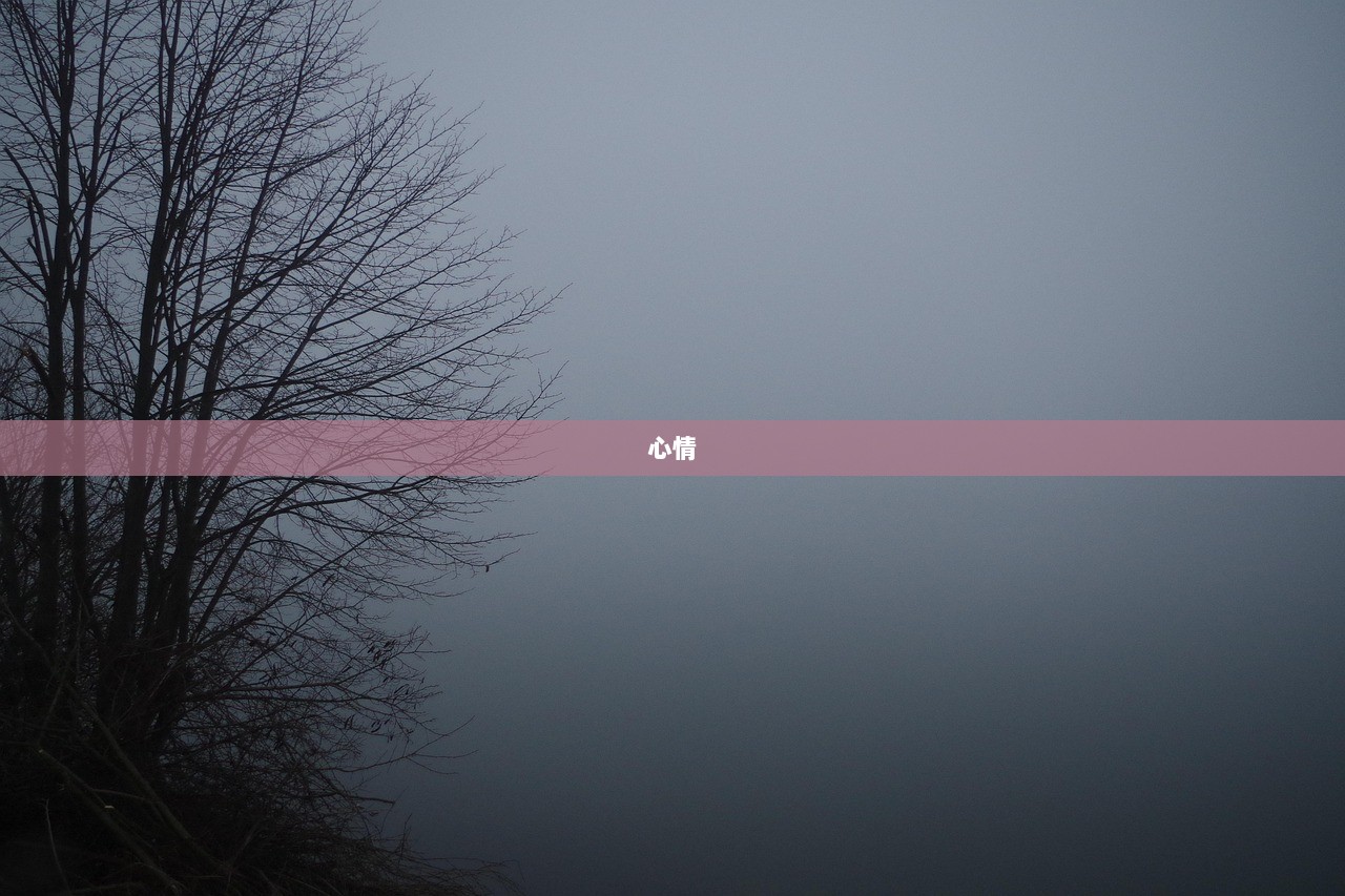 心情