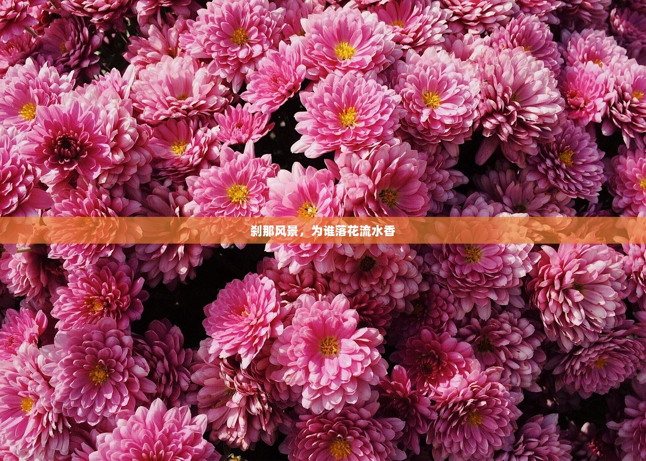 刹那风景，为谁落花流水香