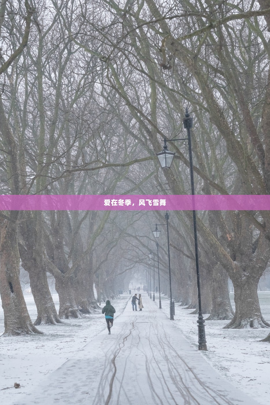 爱在冬季，风飞雪舞