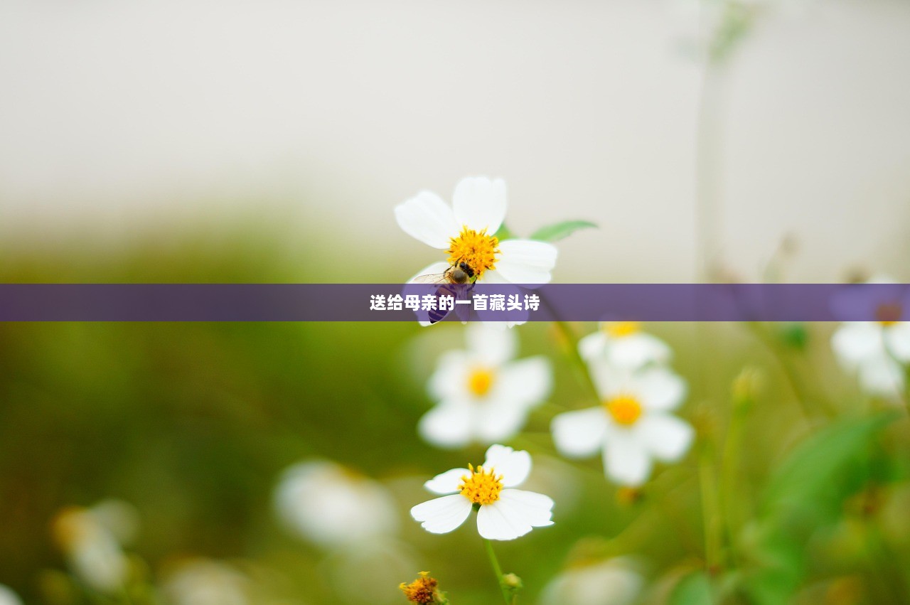 送给母亲的一首藏头诗