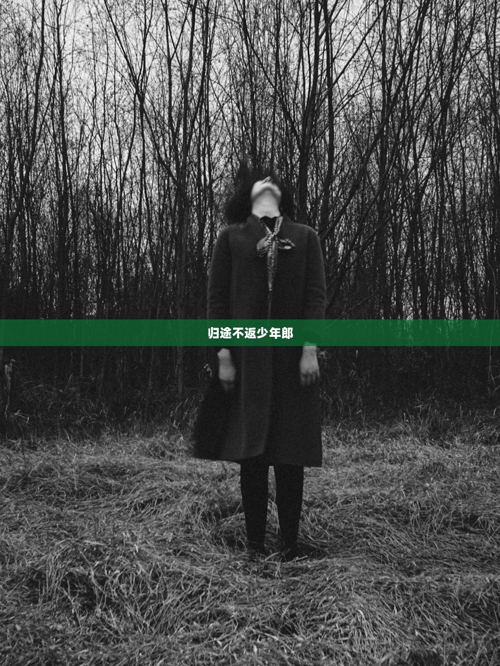归途不返少年郎