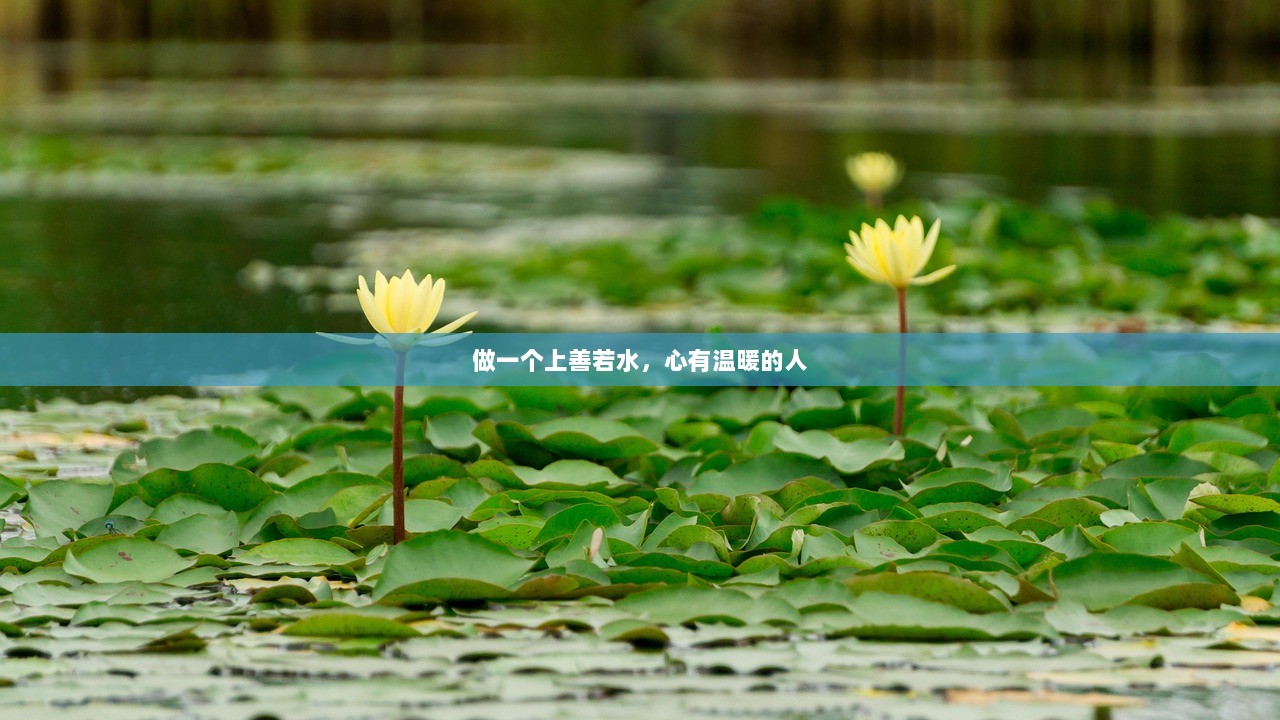做一个上善若水，心有温暖的人  第1张