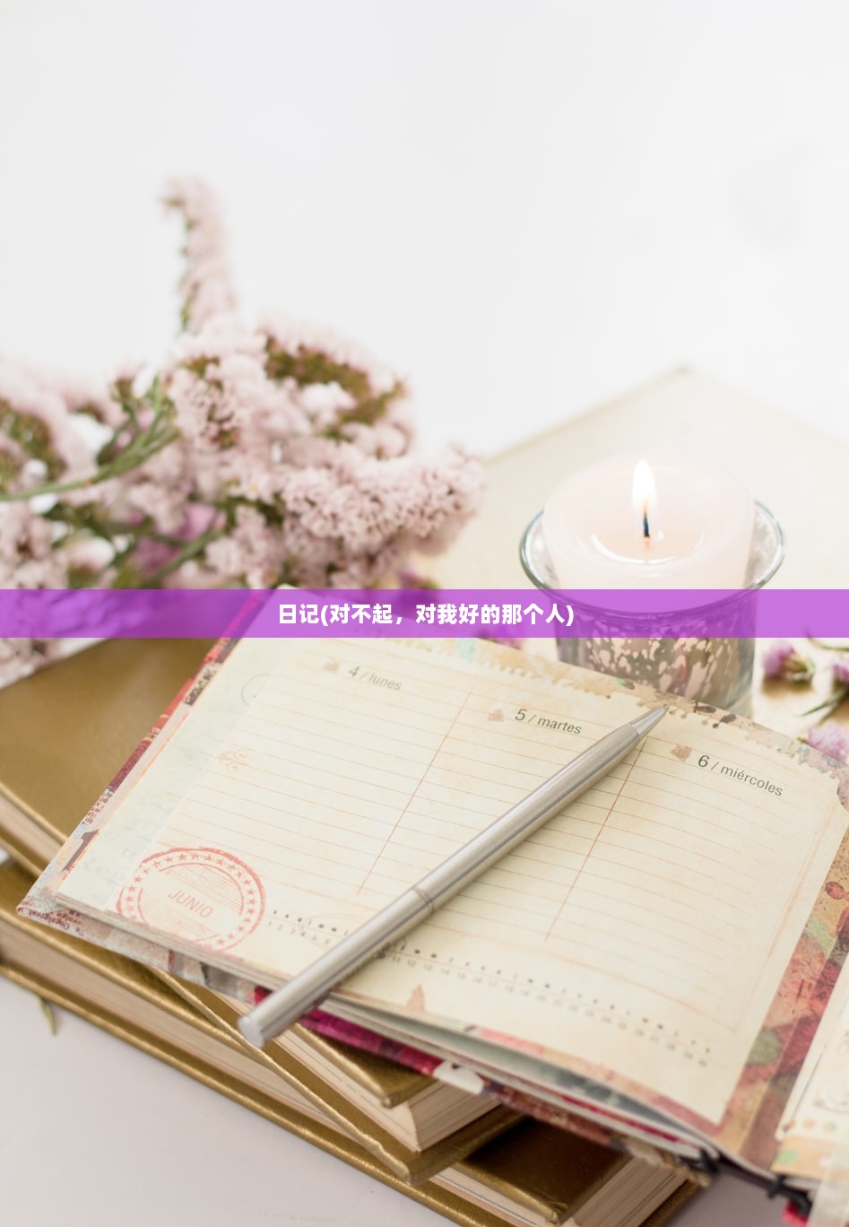 日记(对不起，对我好的那个人)