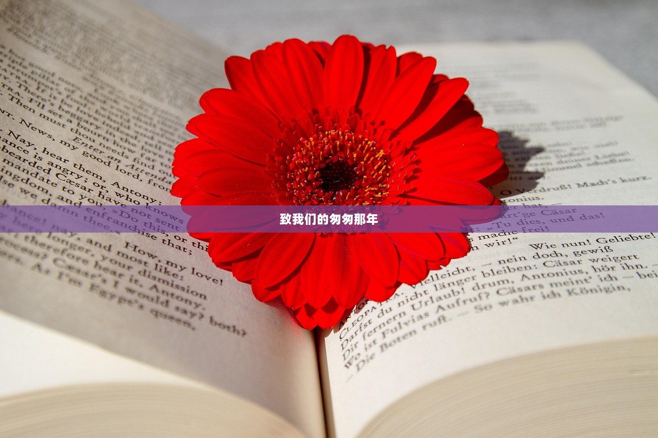 致我们的匆匆那年