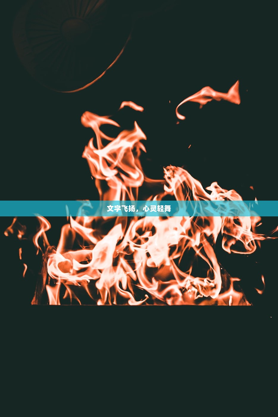 文字飞扬，心灵轻舞