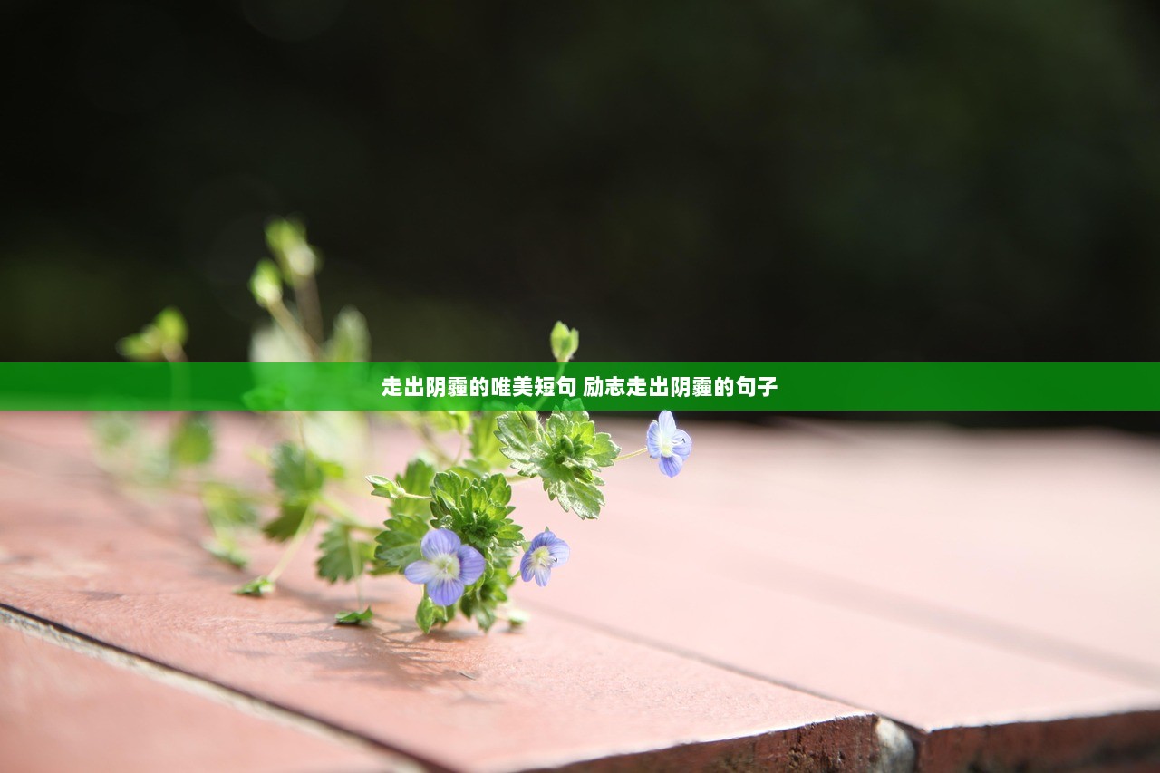 走出阴霾的唯美短句 励志走出阴霾的句子