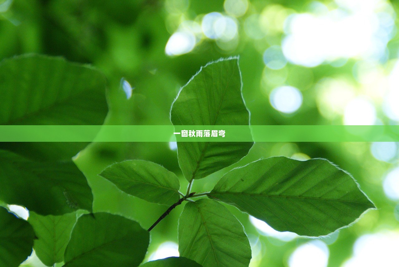 一窗秋雨落眉弯