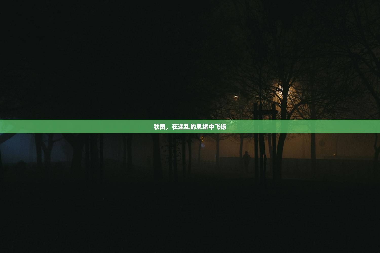 秋雨，在迷乱的思绪中飞扬