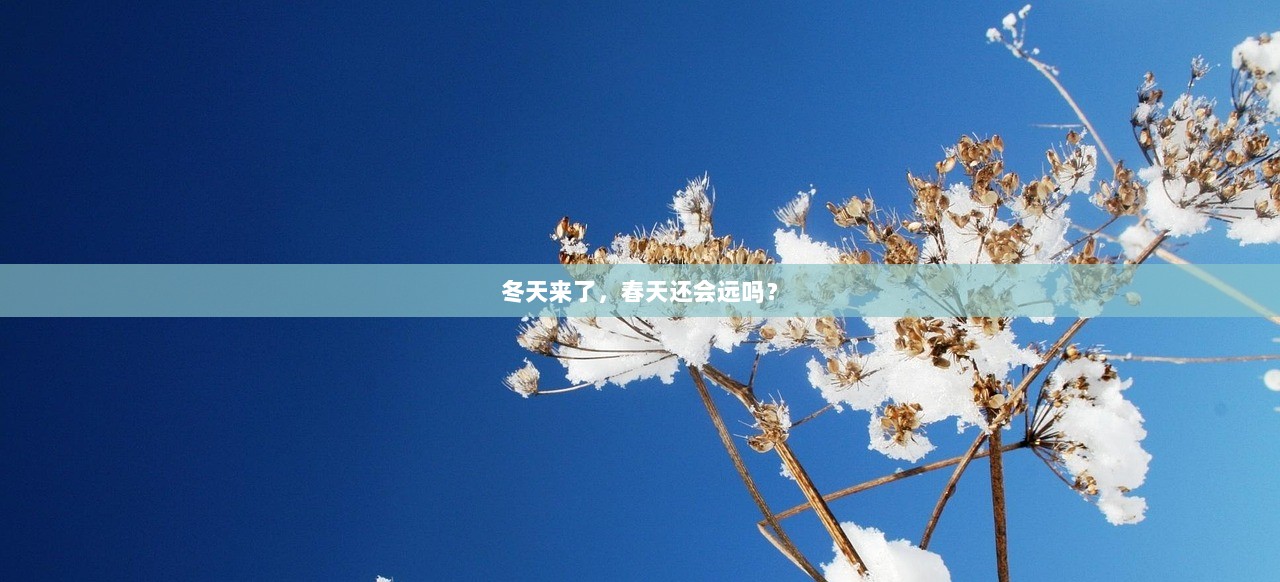 冬天来了，春天还会远吗？