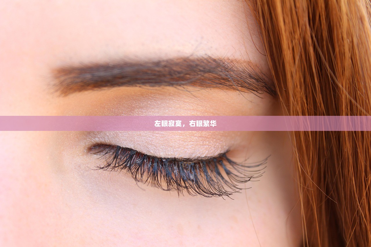 左眼寂寞，右眼繁华
