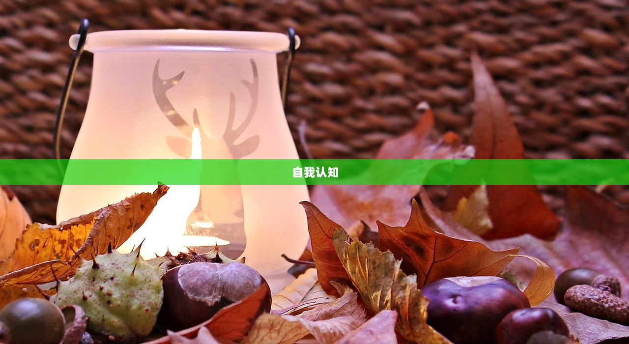 自我认知