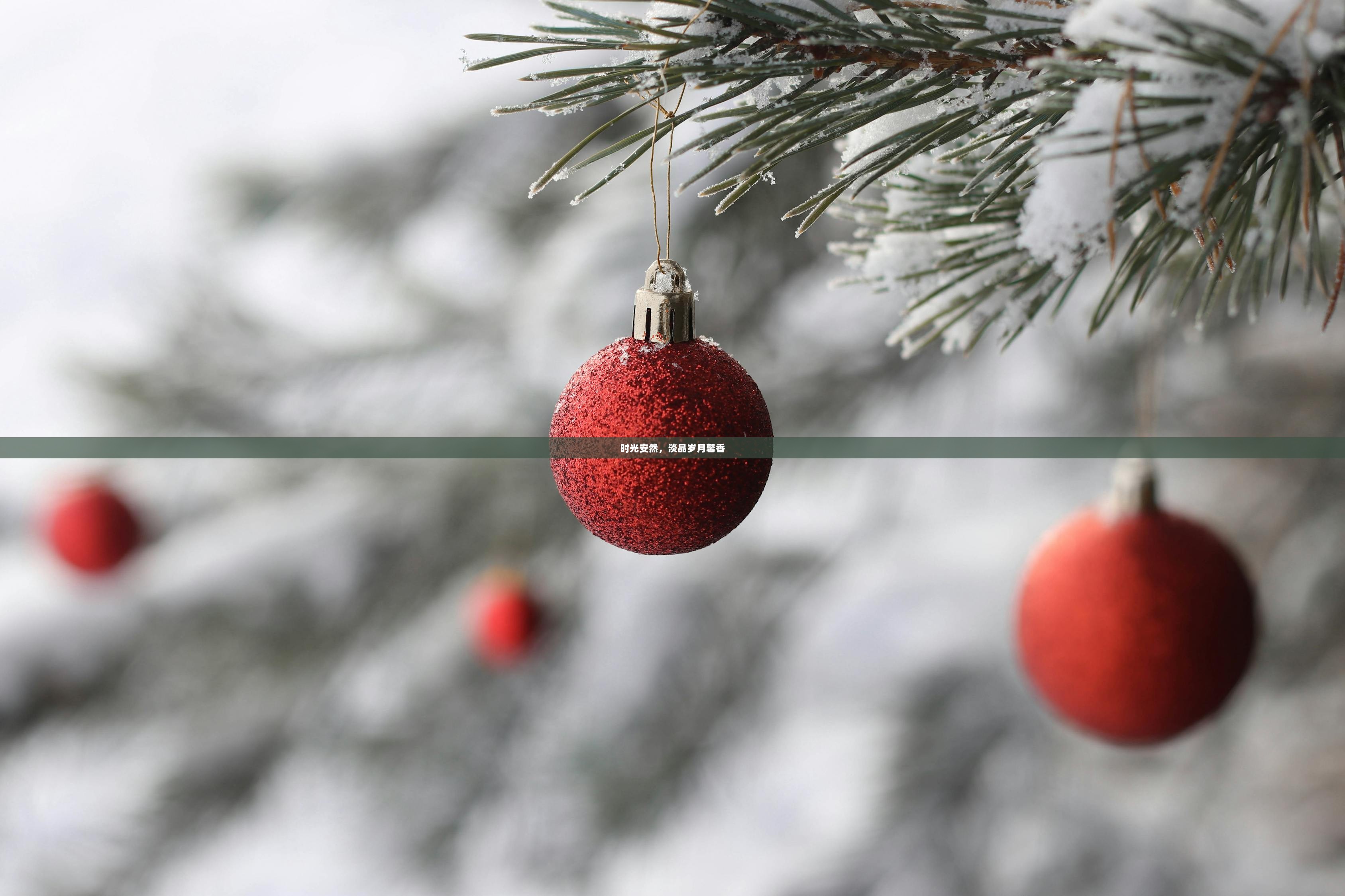 时光安然，淡品岁月馨香  第1张