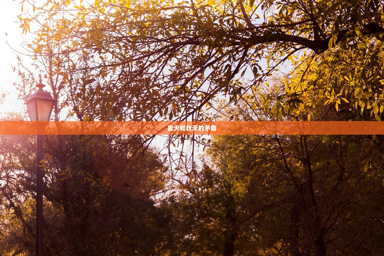 夏天和秋天的矛盾
