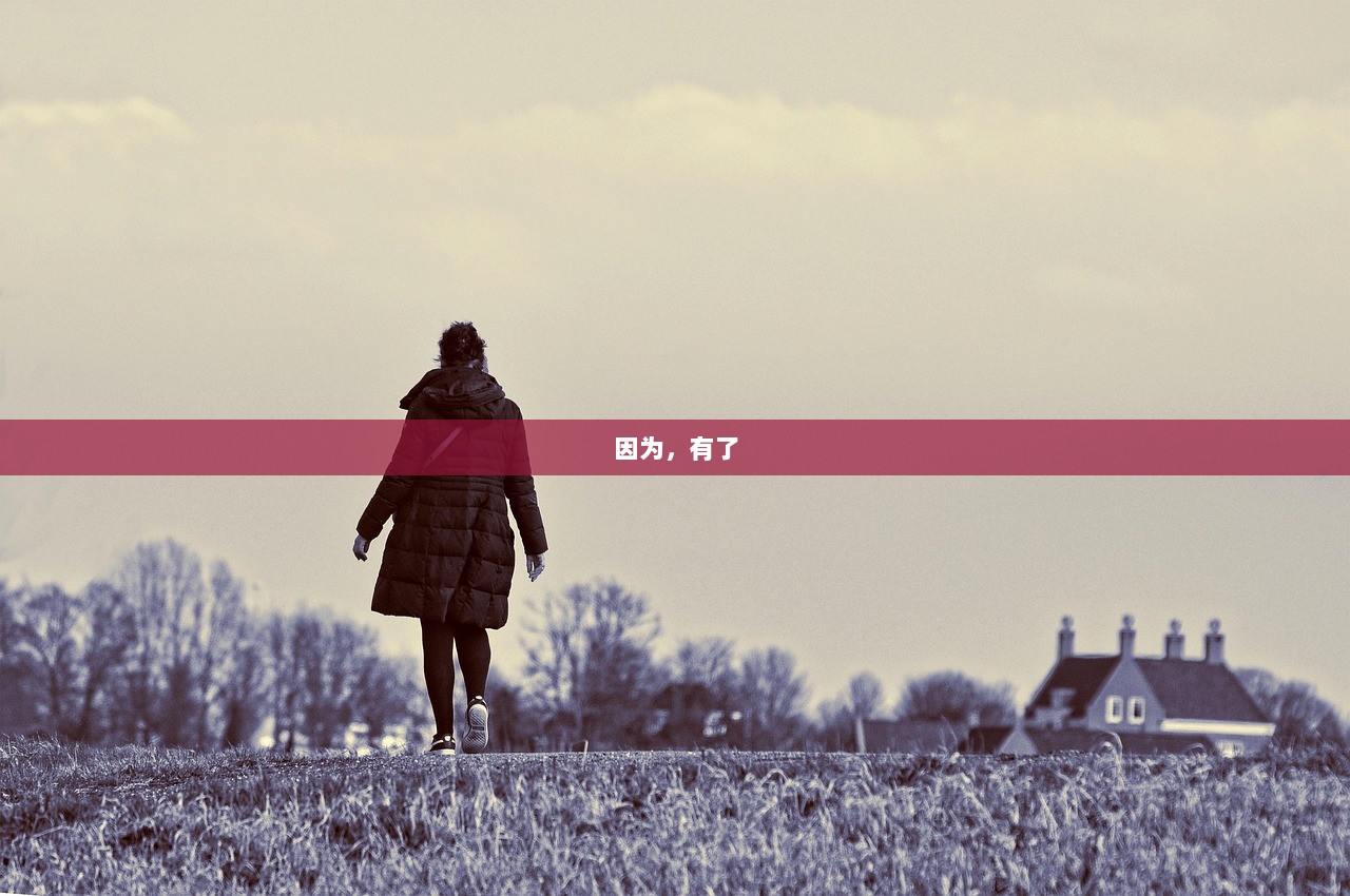 因为，有了  第1张