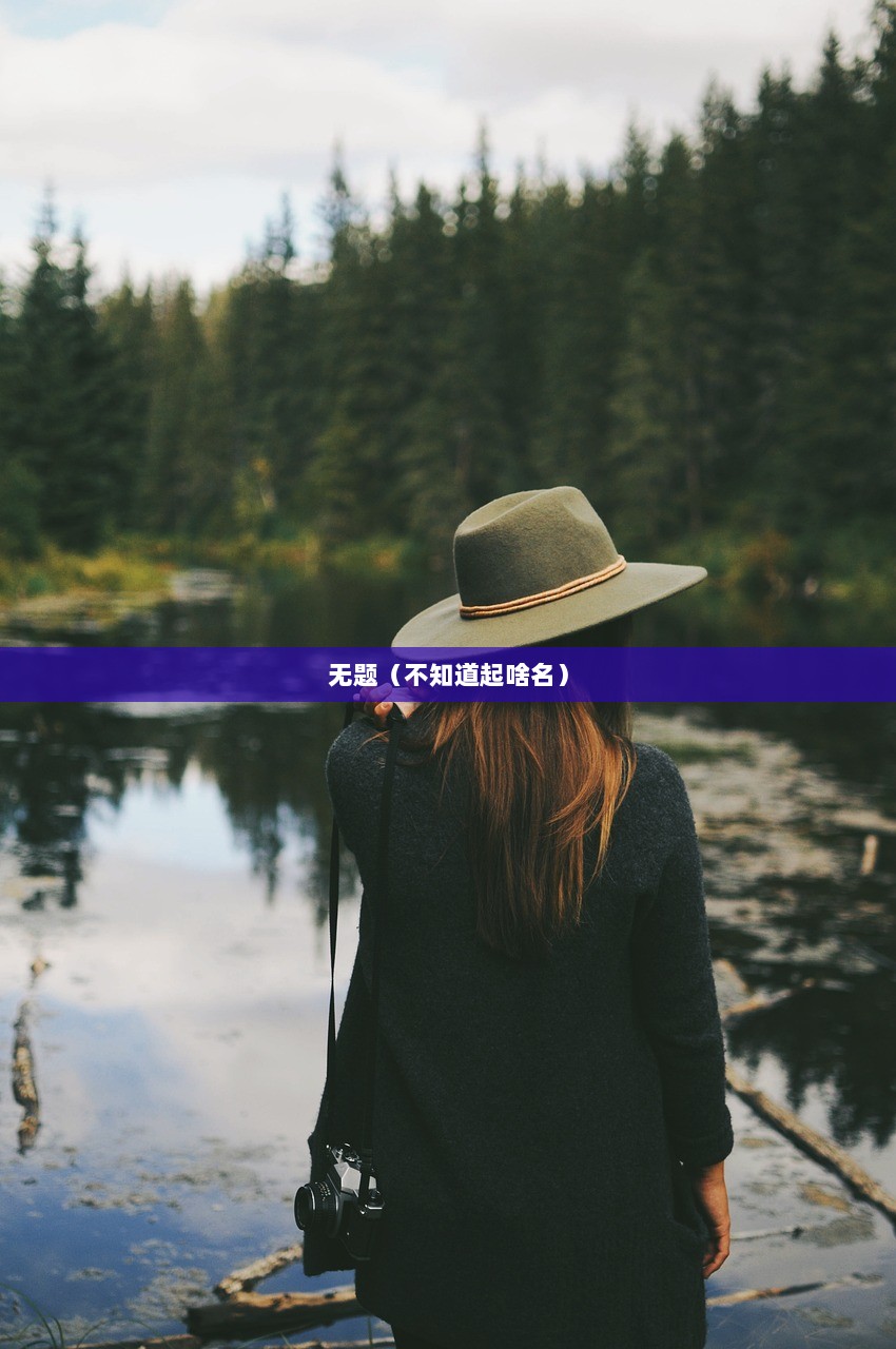 无题（不知道起啥名）