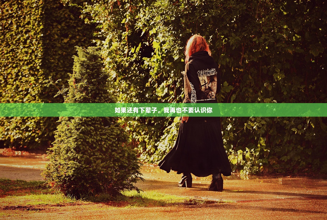 如果还有下辈子，我再也不要认识你
