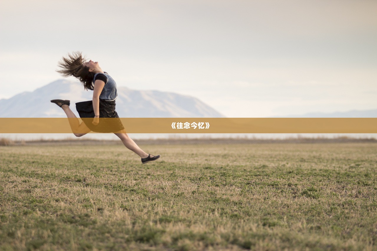 《往念今忆》
