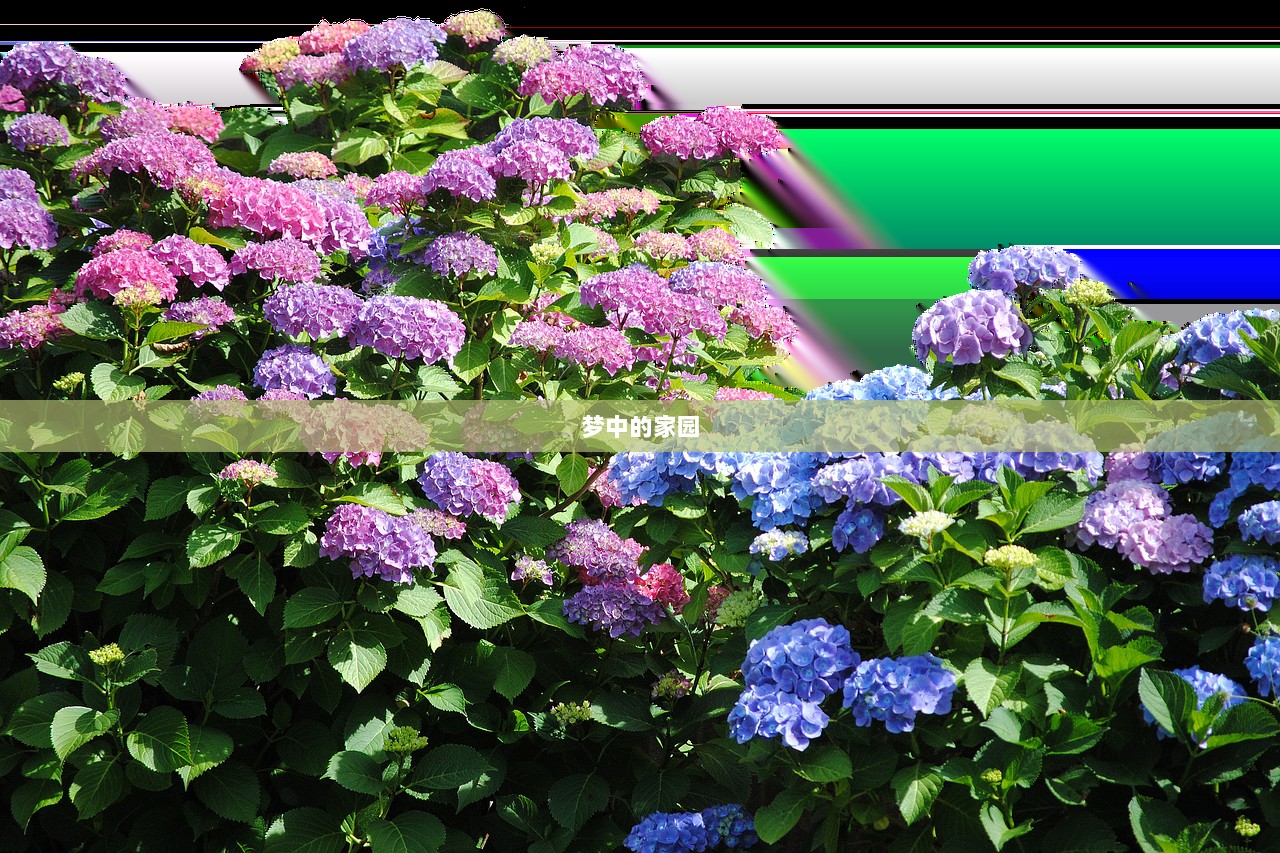 梦中的家园  第1张