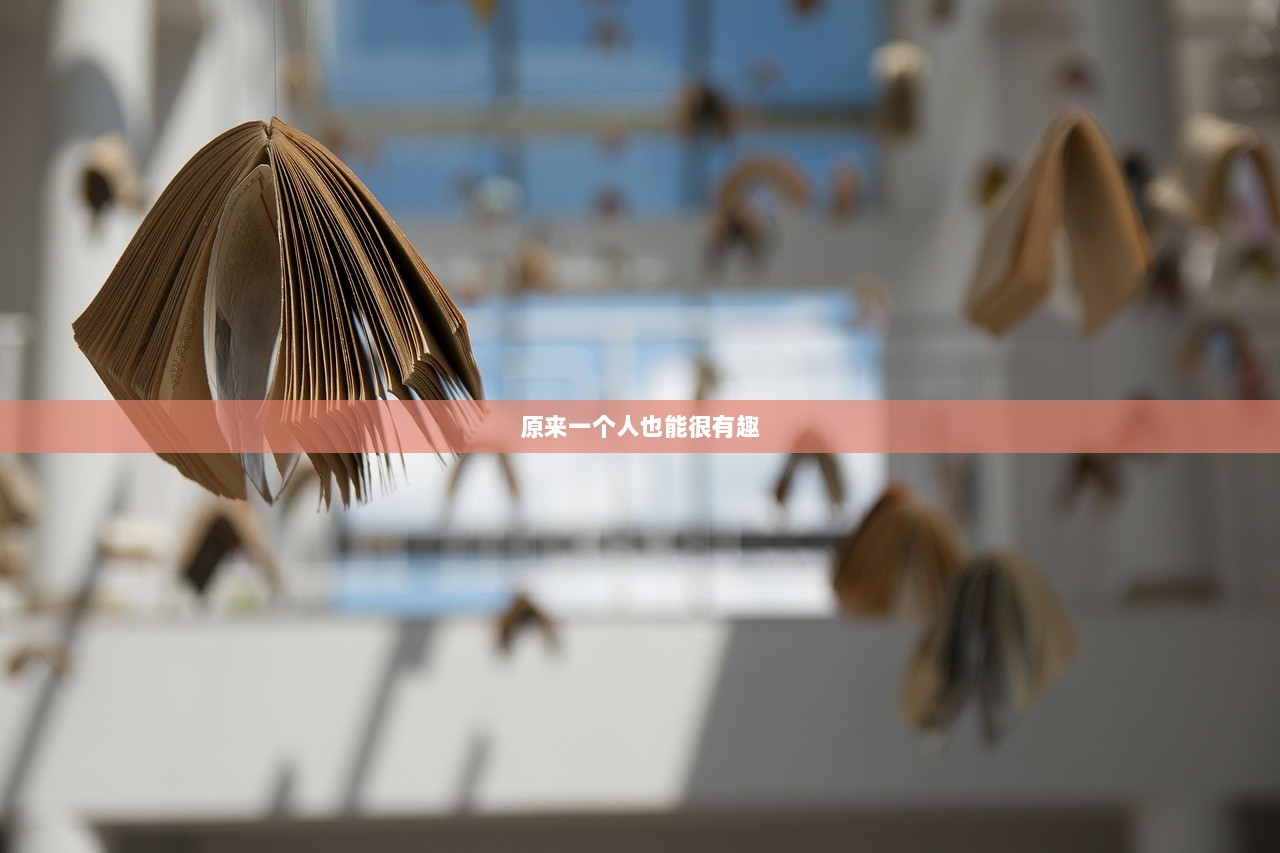 原来一个人也能很有趣  第1张
