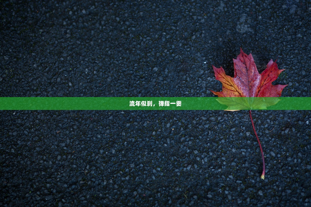 流年似刹，弹指一霎