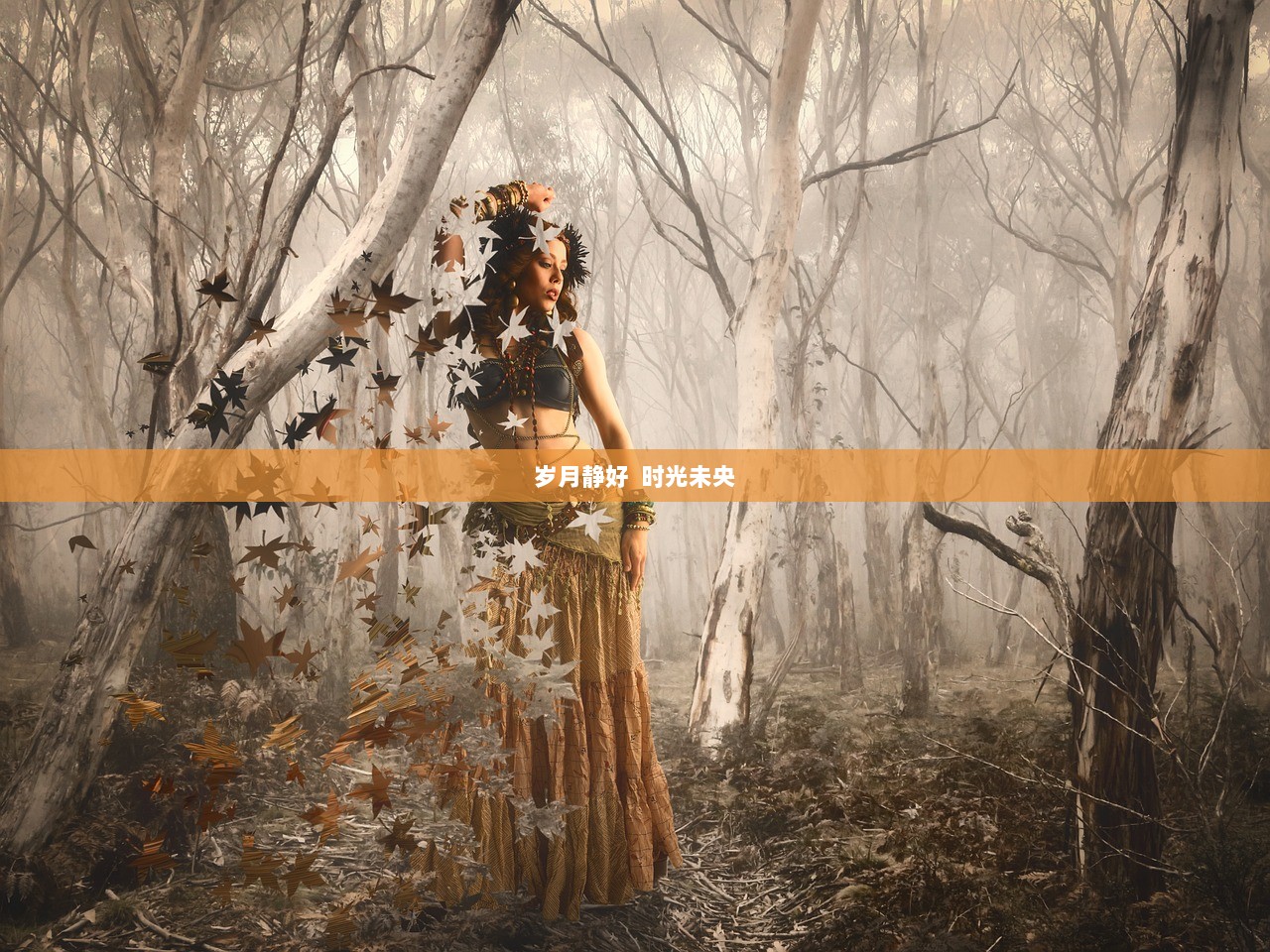 岁月静好  时光未央