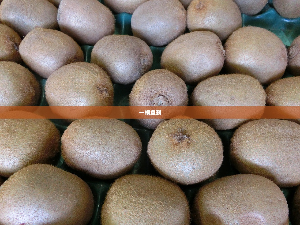 一根鱼刺  第1张