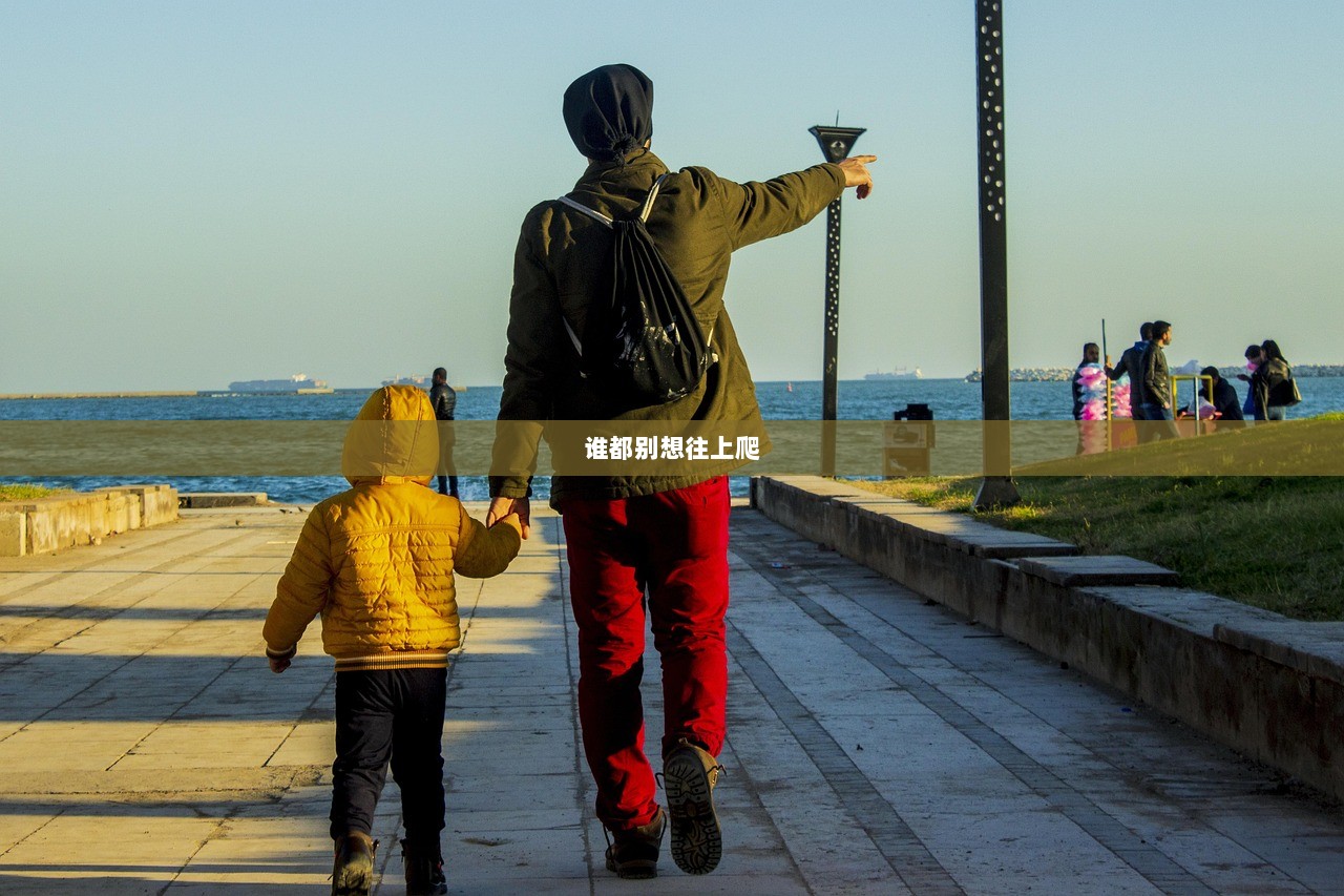 谁都别想往上爬