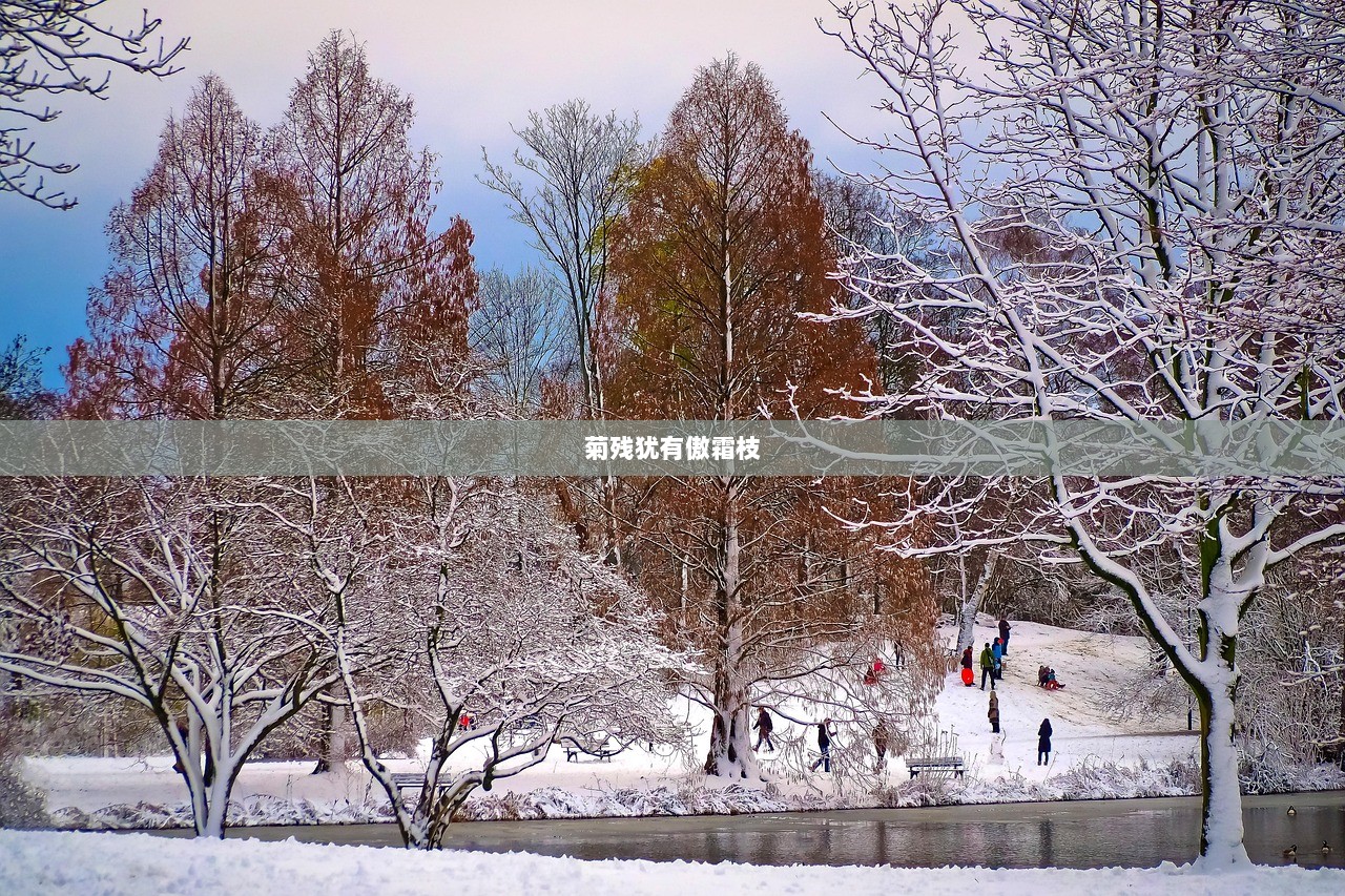 菊残犹有傲霜枝  第1张