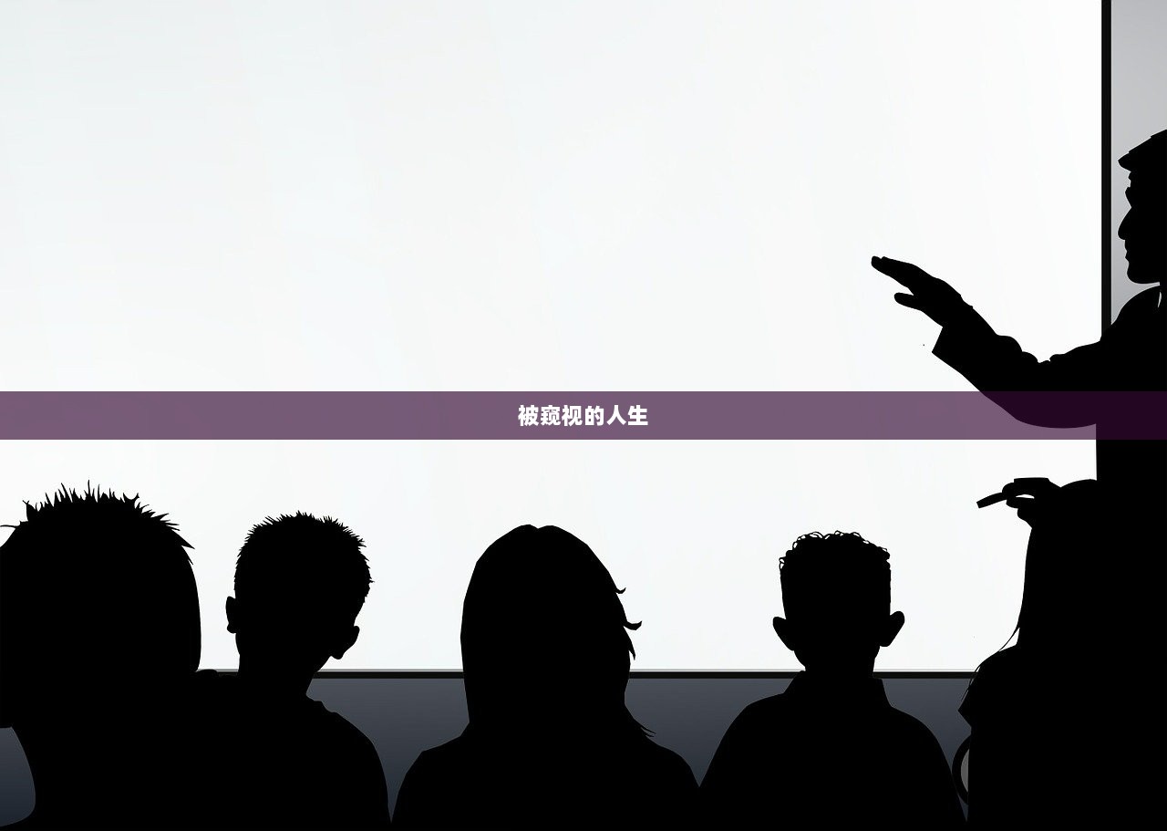 被窥视的人生  第1张