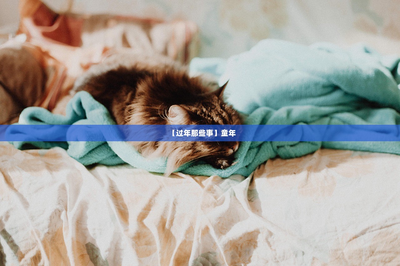 【过年那些事】童年