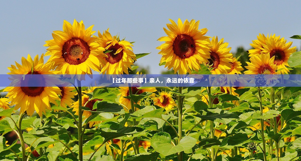 【过年那些事】亲人，永远的依靠