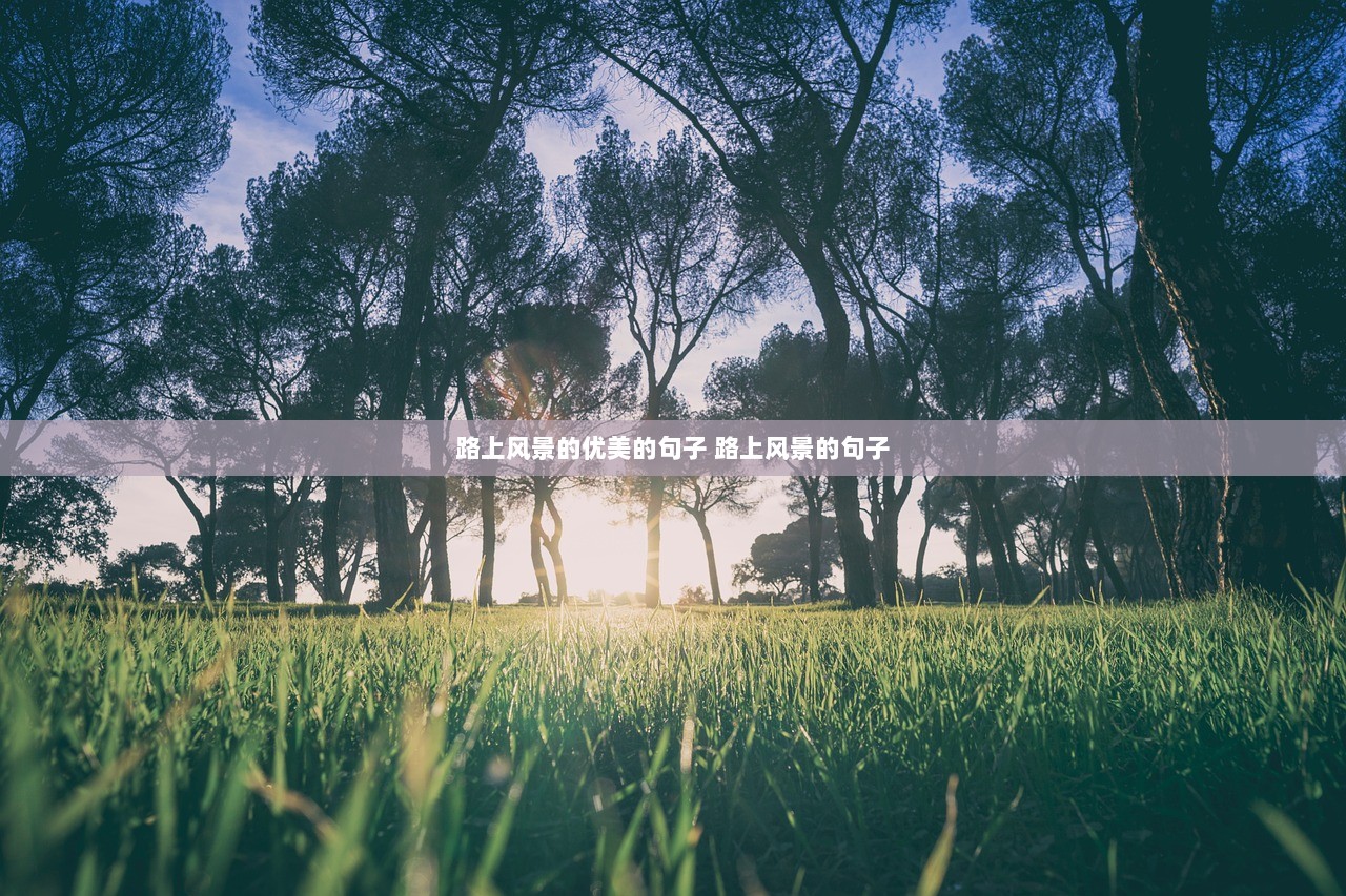 路上风景的优美的句子 路上风景的句子