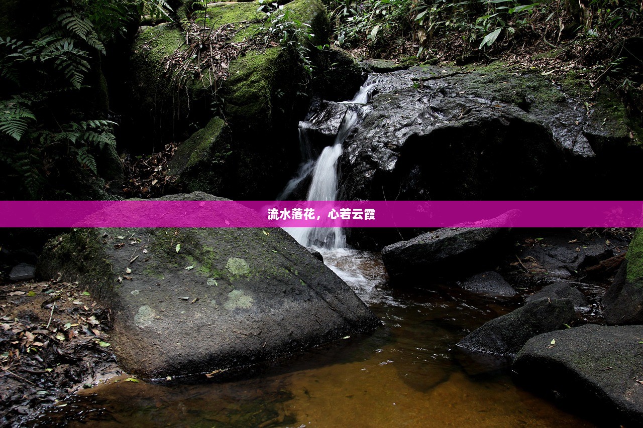 流水落花，心若云霞